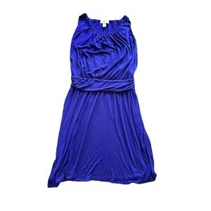 Ann Taylor Loft Dress Stretch Womens Size S Blue Rayon Spandex Spring Summer